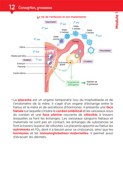 Tout le DEAP en fiches mémos - IFAP - Diplôme État Auxiliaire puériculture - 2025-2026