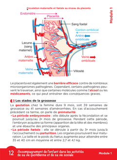 Tout le DEAP en fiches mémos - IFAP - Diplôme État Auxiliaire puériculture - 2025-2026