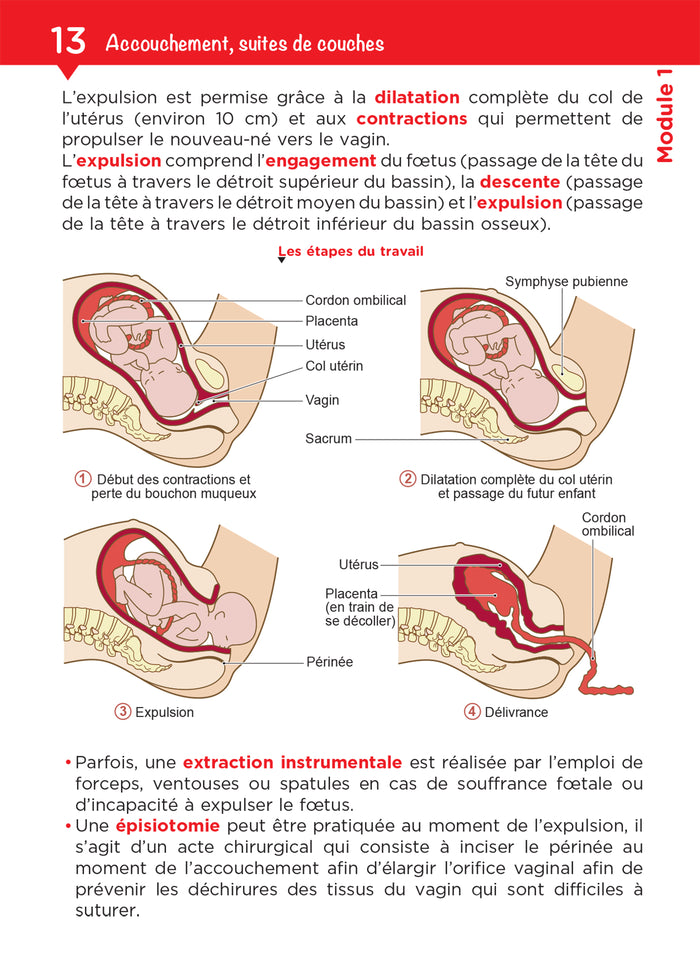Tout le DEAP en fiches mémos - IFAP - Diplôme État Auxiliaire puériculture - 2025-2026