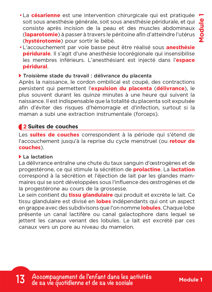 Tout le DEAP en fiches mémos - IFAP - Diplôme État Auxiliaire puériculture - 2025-2026