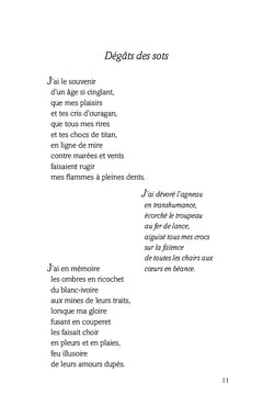 À dos de goéland