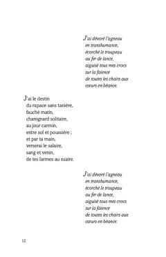 À dos de goéland