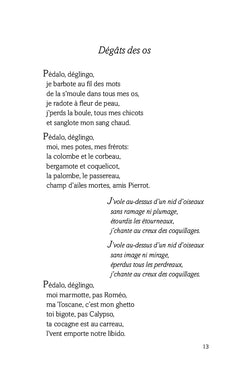 À dos de goéland