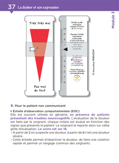 Tout le DEAS en fiches mémos - IFAS - Diplôme État Aide-Soignant