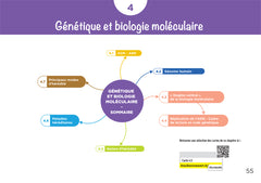 Diplôme infirmier - DEI - Cartes mentales - Biologie fondamentale