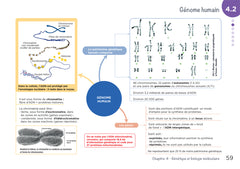 Diplôme infirmier - DEI - Cartes mentales - Biologie fondamentale