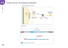 Diplôme infirmier - DEI - Cartes mentales - Biologie fondamentale