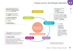 Diplôme infirmier - DEI - Cartes mentales - Biologie fondamentale