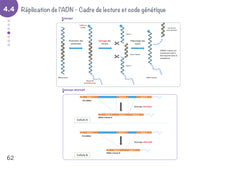 Diplôme infirmier - DEI - Cartes mentales - Biologie fondamentale