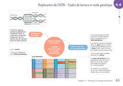 Diplôme infirmier - DEI - Cartes mentales - Biologie fondamentale