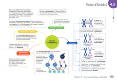 Diplôme infirmier - DEI - Cartes mentales - Biologie fondamentale