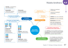 Diplôme infirmier - DEI - Cartes mentales - Biologie fondamentale