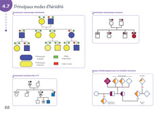 Diplôme infirmier - DEI - Cartes mentales - Biologie fondamentale