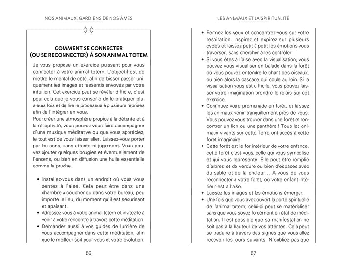 Nos animaux gardiens de nos âmes