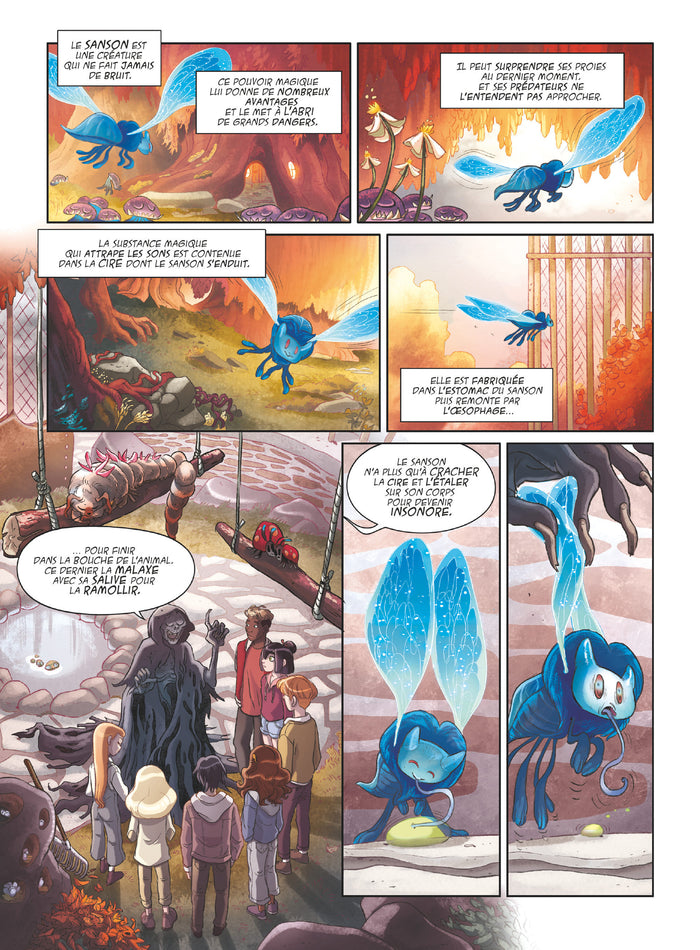 Mystère et boule de gnome !