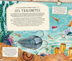 Les fossiles nous racontent la terre