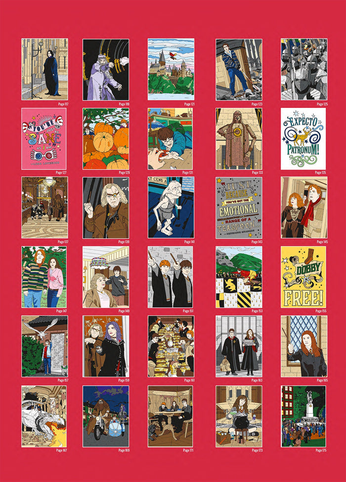 Harry Potter au numéro