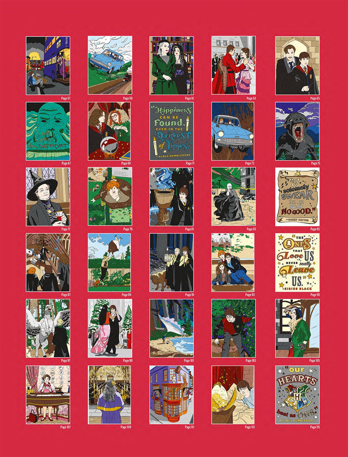 Harry Potter au numéro