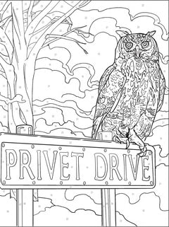 Harry Potter au numéro