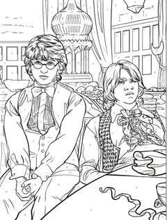 Harry Potter au numéro