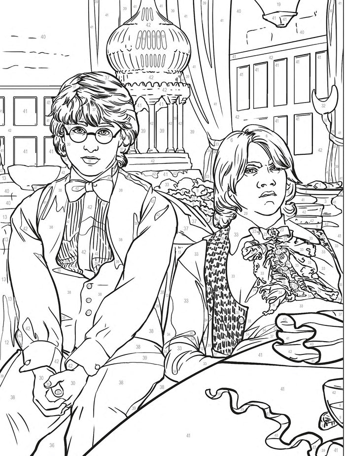 Harry Potter au numéro