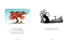 Les aventures de Grand Panda et Petit Dragon