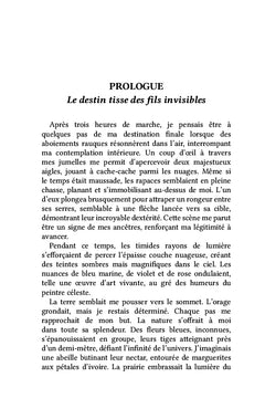 La Vie Rêvée de Phileas