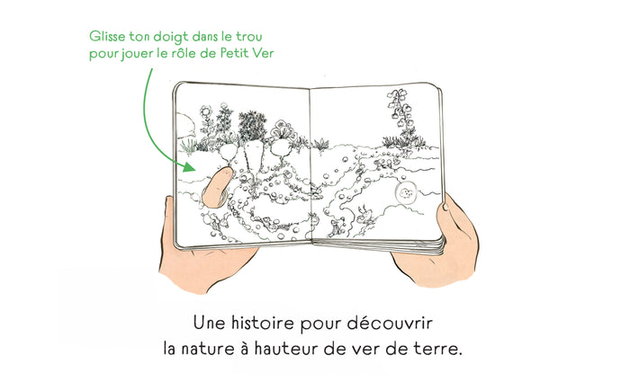 Petit ver au fil des saisons