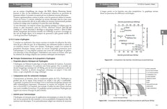 Systèmes électroniques embarqués et transports