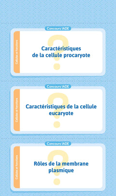 Flashcards concours IADE