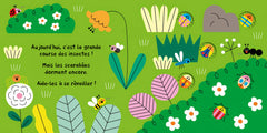 1, 2, 3... Prêts ?Partez ! - Les insectes