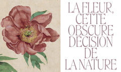 La Parade des fleurs. Leçons de peinture