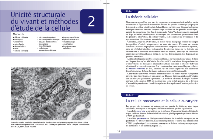 Exercices et méthodes de biologie cellulaire