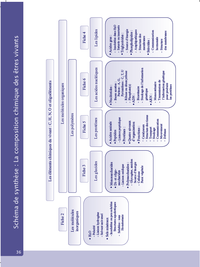 Exercices et méthodes de biologie cellulaire