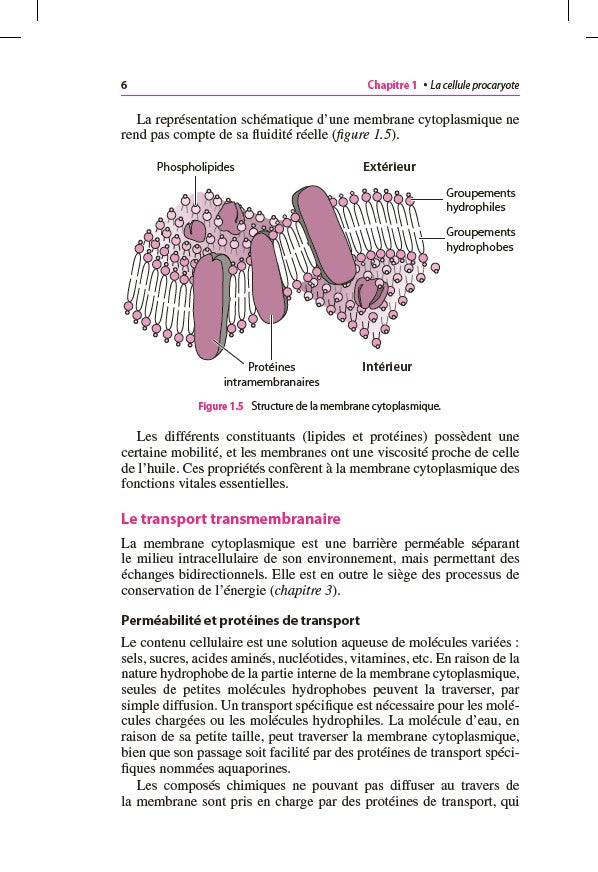 Mini Manuel - Microbiologie