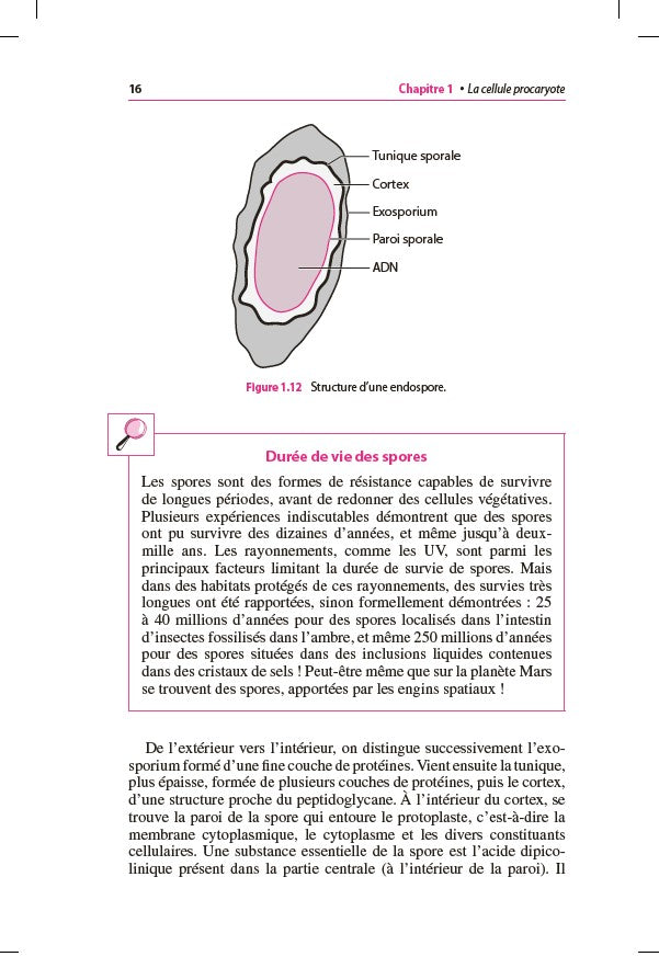 Mini Manuel - Microbiologie