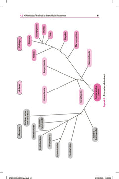 Mini Manuel - Microbiologie