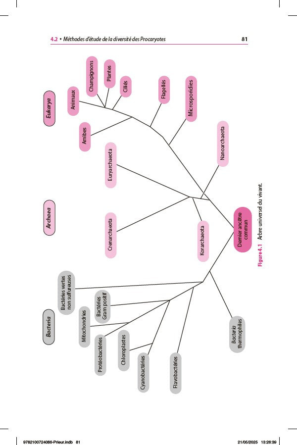 Mini Manuel - Microbiologie