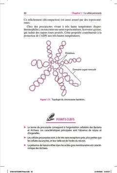Mini Manuel - Microbiologie
