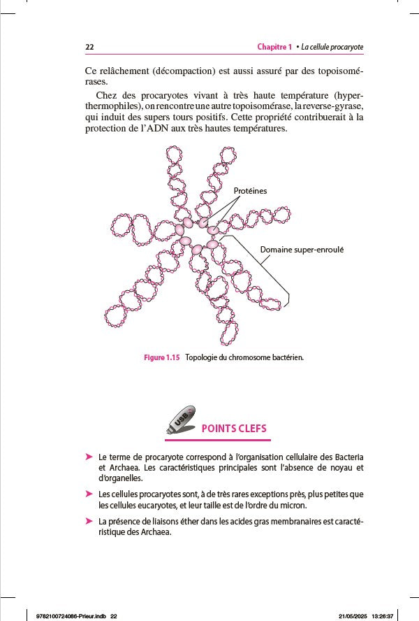 Mini Manuel - Microbiologie