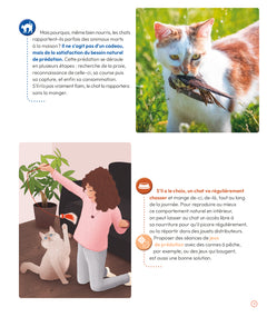Les Chats en questions