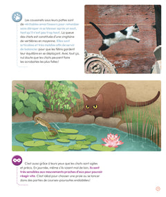 Les Chats en questions