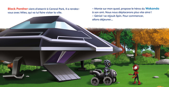Mission avec Black Panther