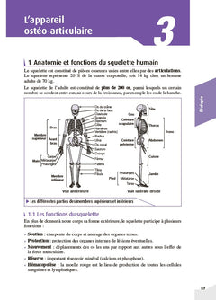 Mon grand guide IFSI 2026 pour entrer en école d'infirmier