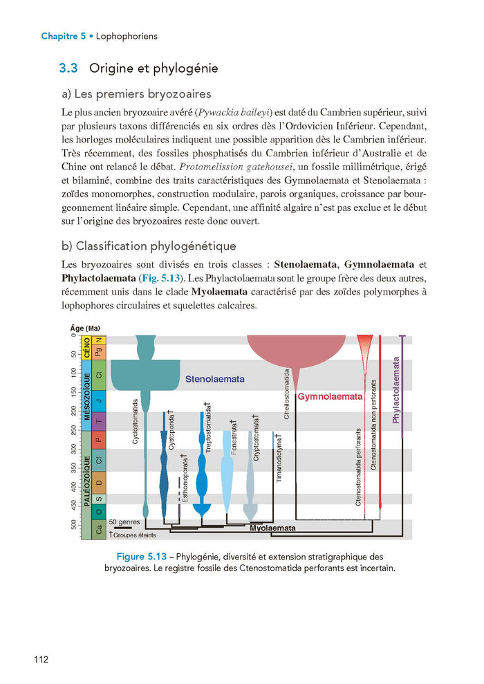 Paléontologie et évolution des invertébrés