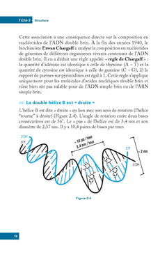 L'essentiel de biologie moléculaire