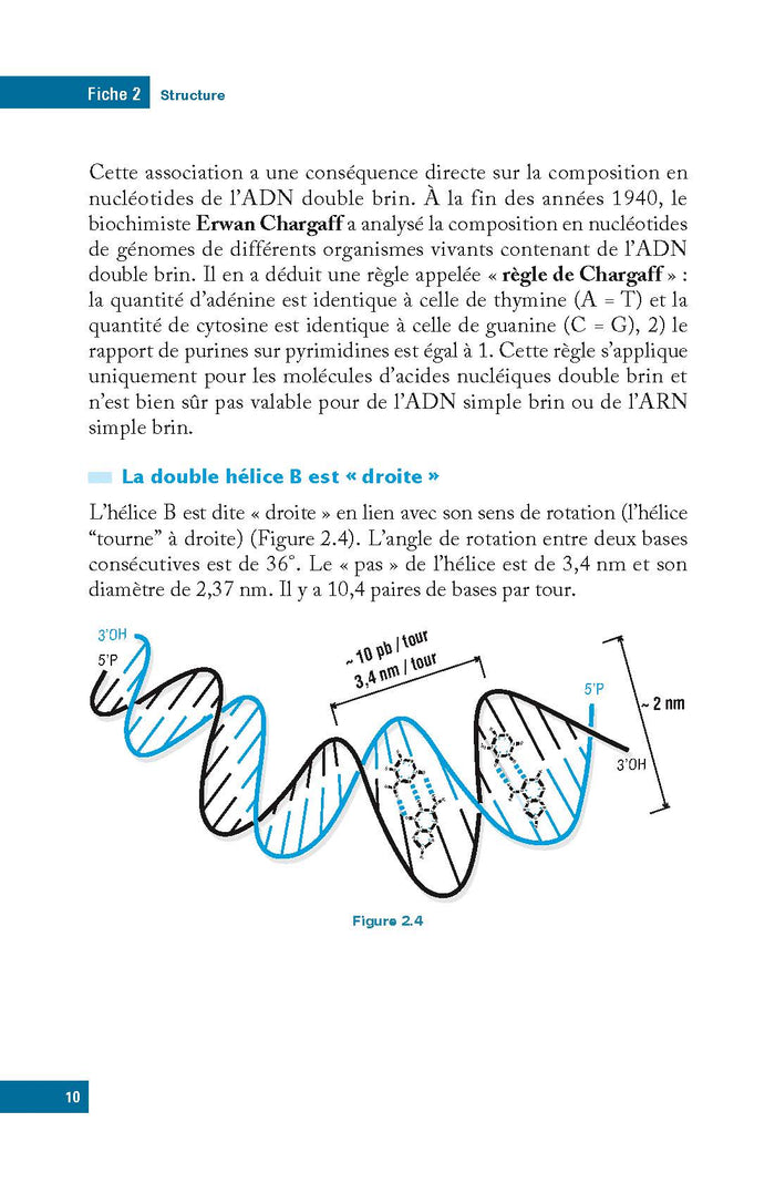 L'essentiel de biologie moléculaire