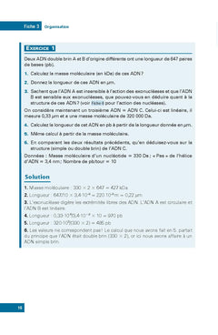 L'essentiel de biologie moléculaire