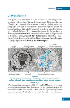 L'essentiel de biologie moléculaire