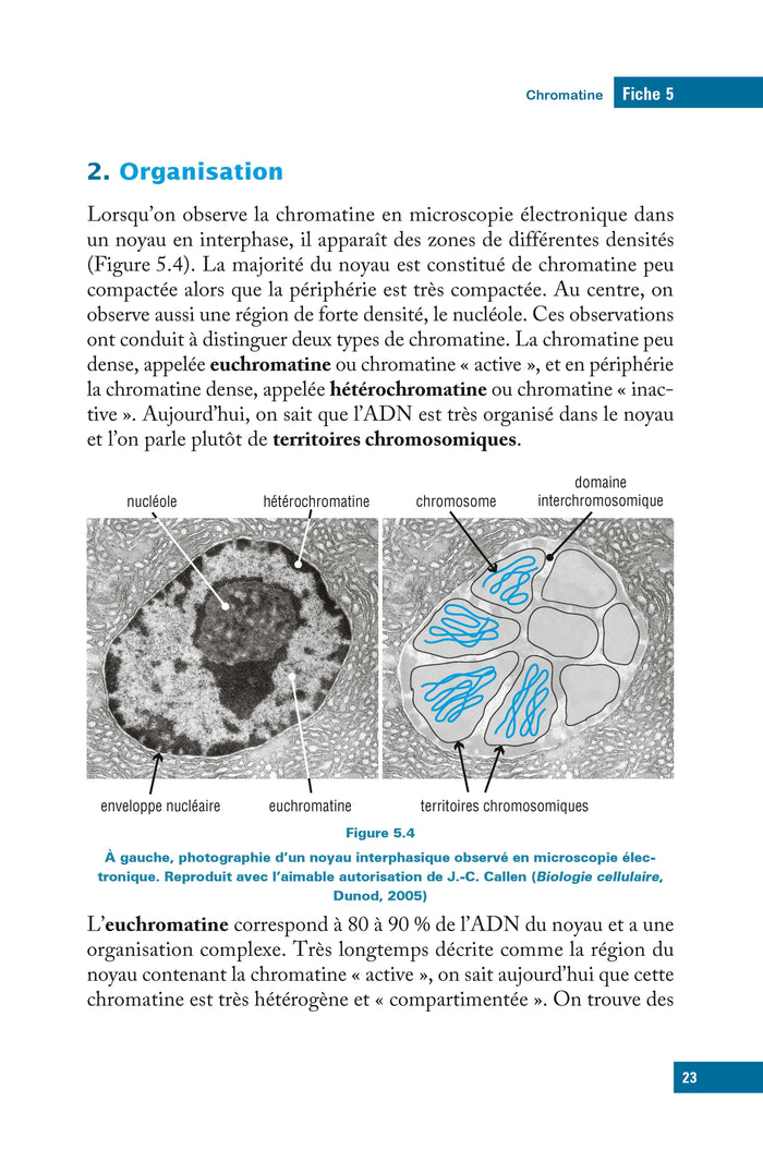 L'essentiel de biologie moléculaire